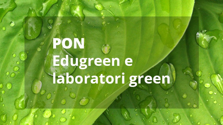 Ambienti e laboratori per l’educazione e la formazione alla transizione ecologica